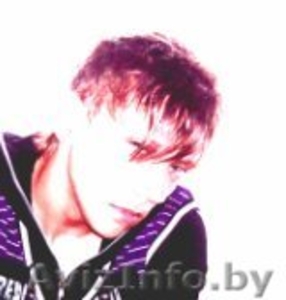 Приму в дар щенка Ротвейлера (мальчика).,  Беларусь #244530