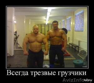 ГРУЗЧИКИ РАЗНОРАБОЧИЕ ГРУЗОПЕРЕВОЗКИ ЗЕМЕЛЬНЫЕ РАБОТЫ #262312