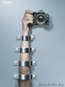 Асистент для фотографа. #258110