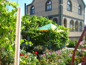 Отдых в Крыму!! Частный пансионат Людмила #244489