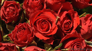 Продам в г. Пенза Россия 3-х ком. в берёзовой роще. #263506