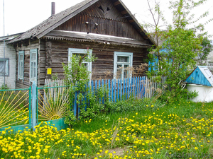 Продажа дома в д. Засковичи,  25 км от Молодечно,  газ,  водопровод,  телефон. Торг. #277032