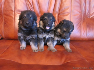 zaurbek1984@mail.by #257999