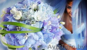 Лучшее видео среди доступного! Съемка проф. камерой! #277712