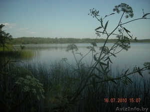 Срочно продам дом в Витебской обл.,  д. Межа #277720