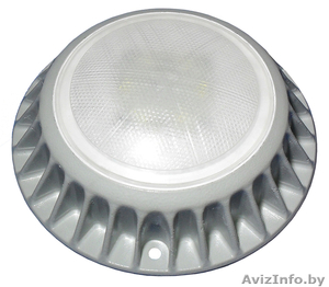 Светодиодный светильник,  антивандальный,  прямой замены #258915