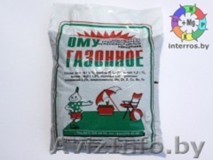 растения и инветарь для  вашего сада #288726