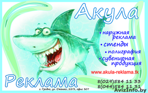 АкулаРеклама Все виды рекламы #280078