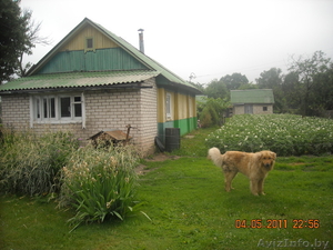 Продается дом с учвстком 40 соток в д.Издрашево #294154