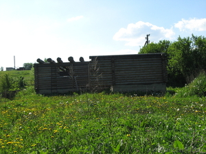 Продам дом с участком #293083