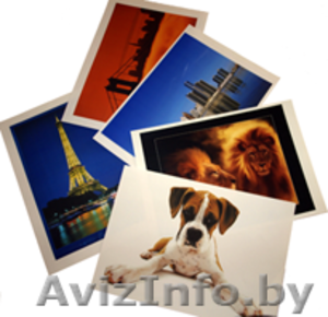 Печать лазерная цветная #295251