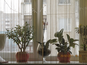 ООО.ИрэнСтрой и к #322331