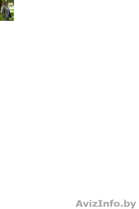 Продается мужской костюм #312605