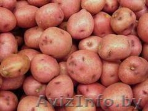 КСУП