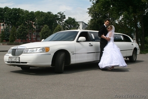 Фотосъемка по любому поводу и без повода! #323762