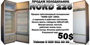 ХОЛОДИЛЬНИК NORD 225 #319195