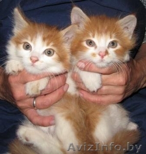 Лучший антидепрессант #312797