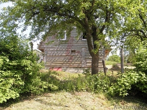 д.сенило  район стайки 10км от мкд. #312083