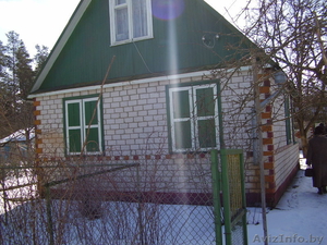 Дача -  Свислочь, рыбалка #329652