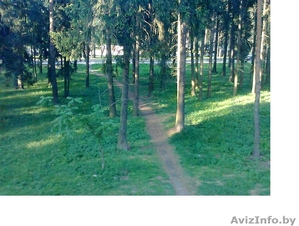 3-комн.  63/35/7, 8. Чистая продажа #321739