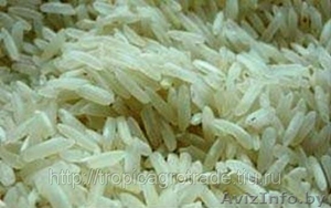 Рис оптом из Пакистана #320672