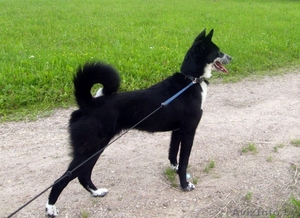 Минск,  Антони Майя,  dreamernat@yandex.ru,  +375447110985 #342176