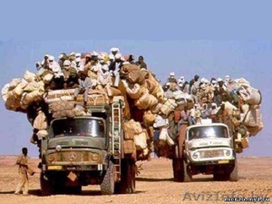 Грузоперевозки , услуги грузчиков ,  #352146