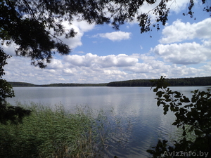 продам 2х комнатную квартиру 54 кв.метра. #343809