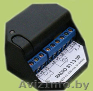 Радиоуправление для ворот,  роллет,  освещения #350874