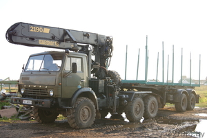 Услуги по перевозке леса  #353530