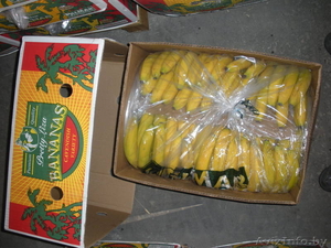 Бананы оптом эквадор #359021