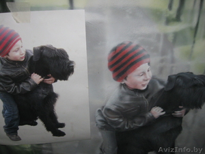 работа с интерьером #342624