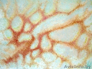 аэрография,  роспись по ткани, стенам,  стеклу. #345162