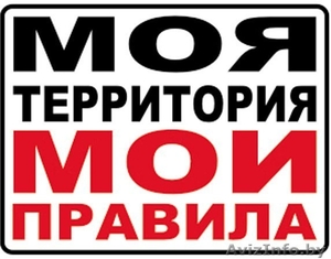 Курсовая работа База Данных (Microsoft  SQL + Borland Delphi 7) #83730