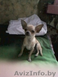 8-029-532-38-14 #378109