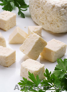 Куплю: сыры твердые,  масло сливочное. Опт,  мелкий опт. #376421