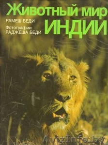 Рамеш Беди. Животный мир Индии (фотоальбом) #389196