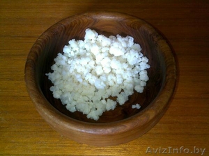 Тибетский молочный (кефирный) гриб #370434