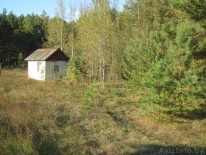 Участок на Припяти #36118