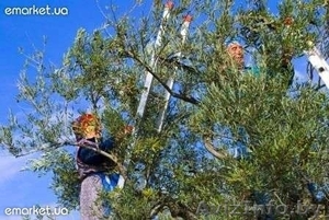 Нужны рабочие в Россию  и Италию #409596