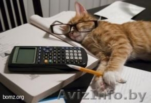 Ведение бухгалтерского и налогового учета #421366