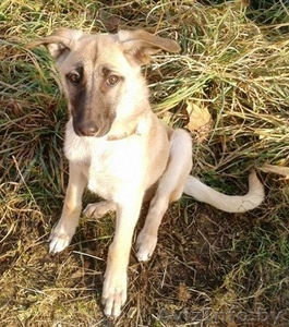 Красавица Лада в дар! #433064