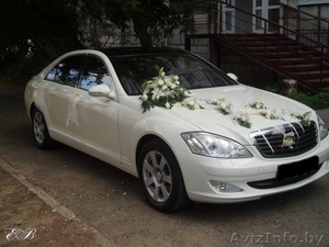 Свадебный кортеж минск,  машины для свадьбы минск. самые низкие цены #450063