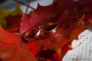 Свадебная фотосъемка,  съемка торжеств,  профессианально,  не дорого. #433583