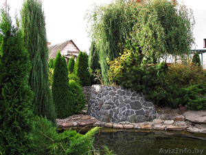 ОЗЕЛЕНЕНИЕ УЧАСТКА,  ЛАНДШАФТНЫЙ ДИЗАЙН  #218417