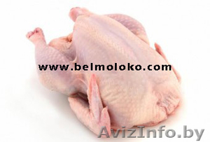 Постоянно покупаем свинину,  говядину,  мясо птицы. #449597