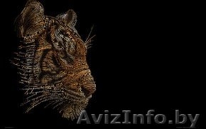 Зарабатывай на заполнении анкеты 30-50 руб за 5 мин.  #476481