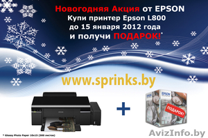 Принтер Epson L800 + подарок #478417