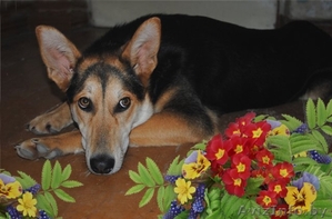 Малышка Ева мечтает о доме! #462894