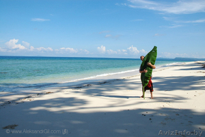 Путешествие. ИНДИЯ,  НЕПАЛ,  ТИБЕТ. #478744